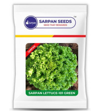 Sarpan Lettuce-101 Green 20 grams